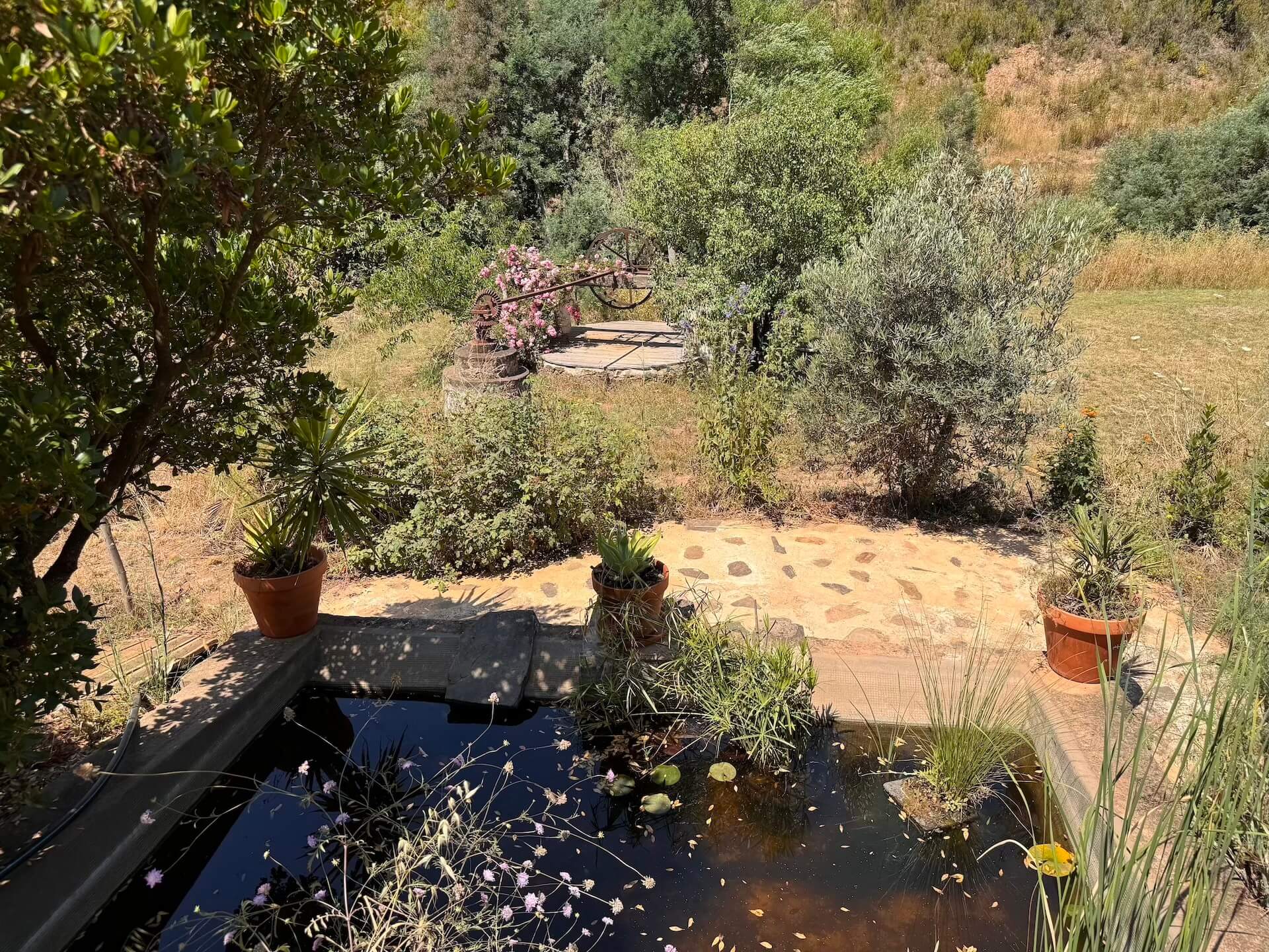 Fonte de lavagem antiga